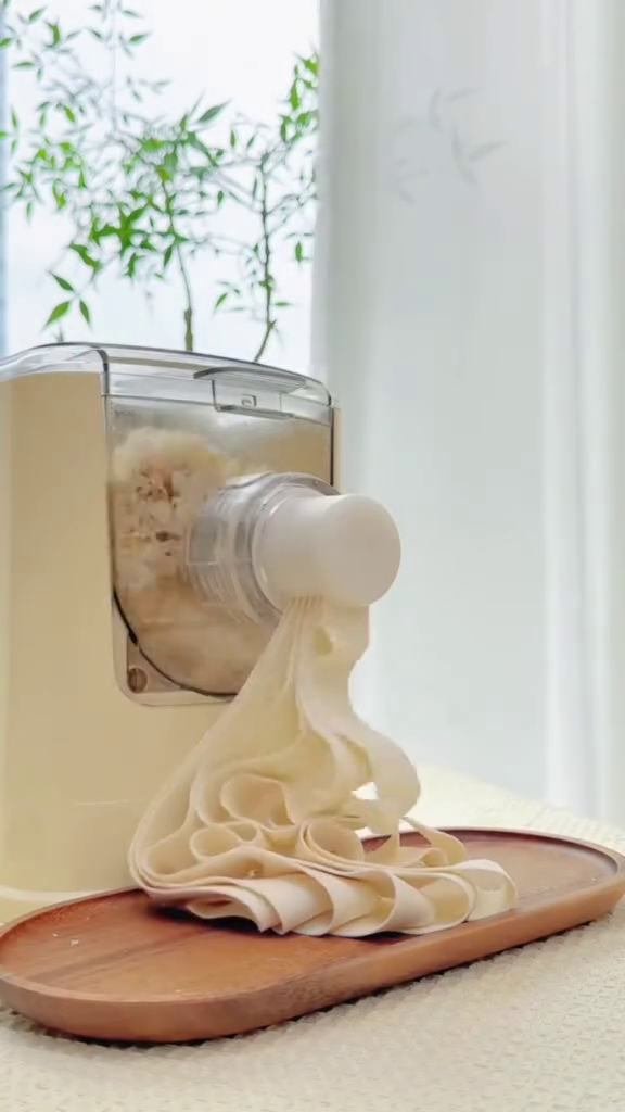 Automatic Fresh Pasta and Noodle Maker Machine