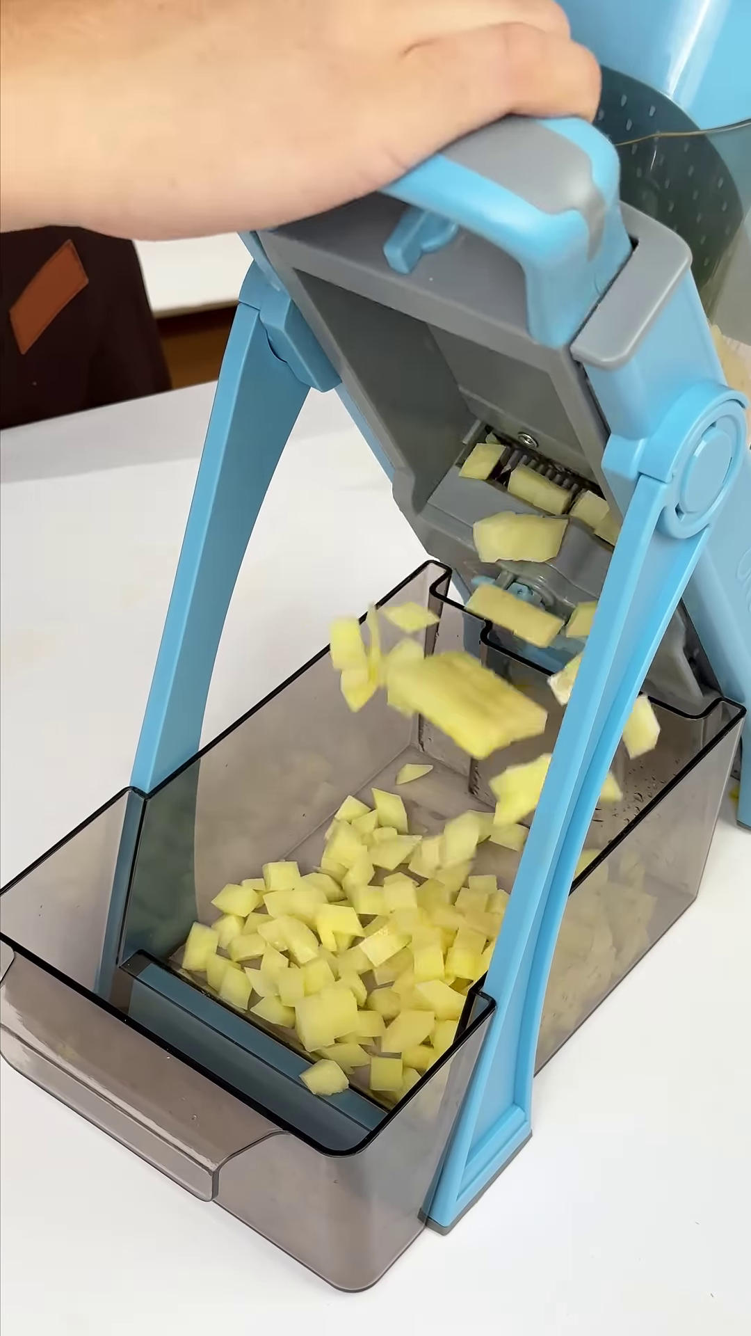 Safe Vertical Mandoline Vegetable Slicer with Container