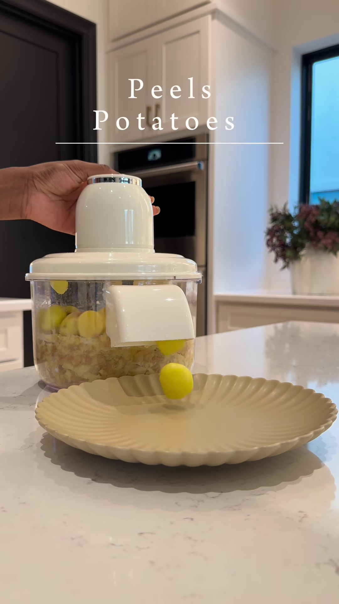 Electric Garlic Peeler and Multi-Blade Herb Mincer